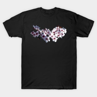 Cherry Blossoms - Sprig of Cherry Blossoms T-Shirt